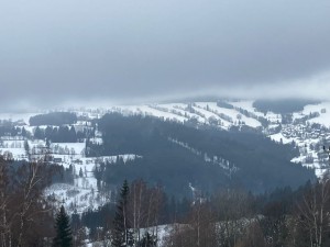 WhatsApp Image 2023-12-16 at 13.08.22.jpeg